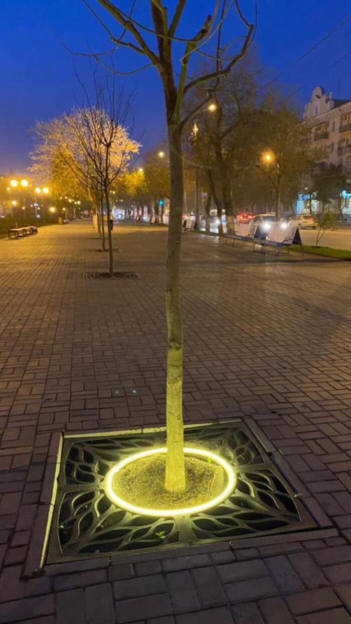 Приствольная решетка для дерева ZKING CRUST 1.2х1.2м Черная в Саранске фото